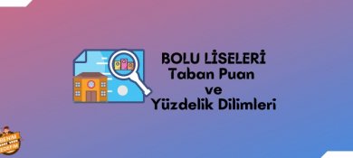 Bolu Lise Taban Puanları, Bolu Lise Yüzdelik Dilimleri