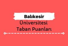 Balıkesir Üniversitesi Taban Puanları ve Sıralamaları, BAÜN Taban Puanları ve Başarı Sıralaması